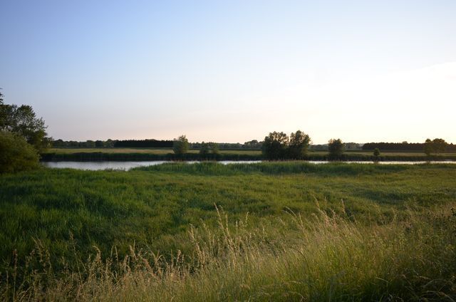 b5.jpg