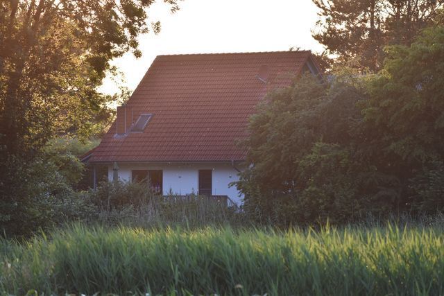 c7.jpg