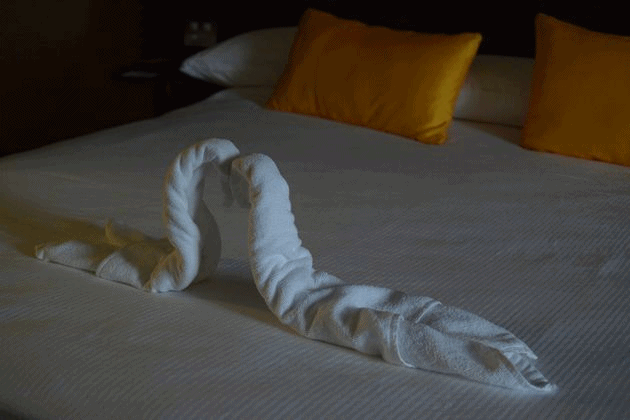 c9anigif.gif