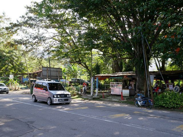d8.jpg