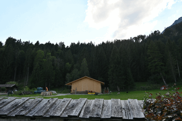 fJe6uOukLJytBSZP6jTo1680703789-1680703836.gif