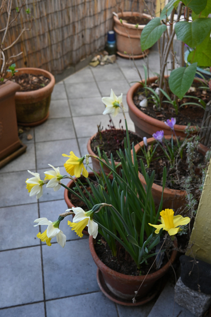 DSC_1024_001.JPG