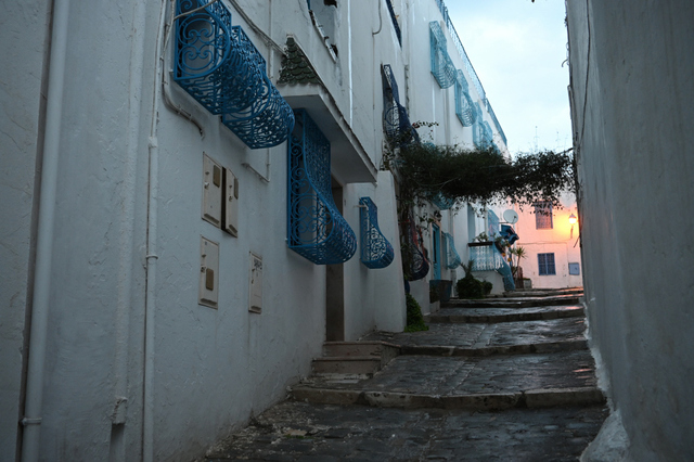 DSC_1210_001.JPG