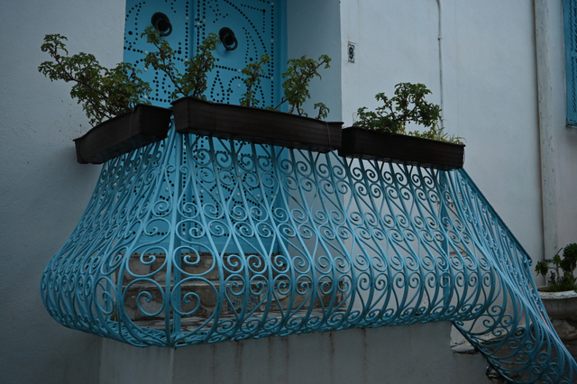 DSC_1211_001.JPG