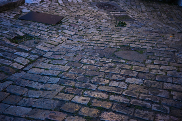 DSC_1235_001.JPG