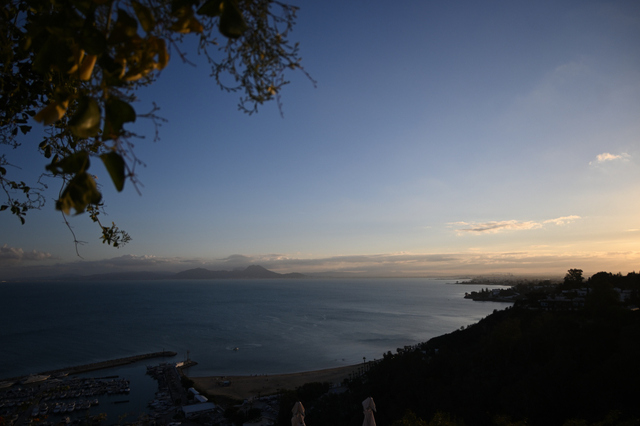 DSC_1683_001_01.JPG