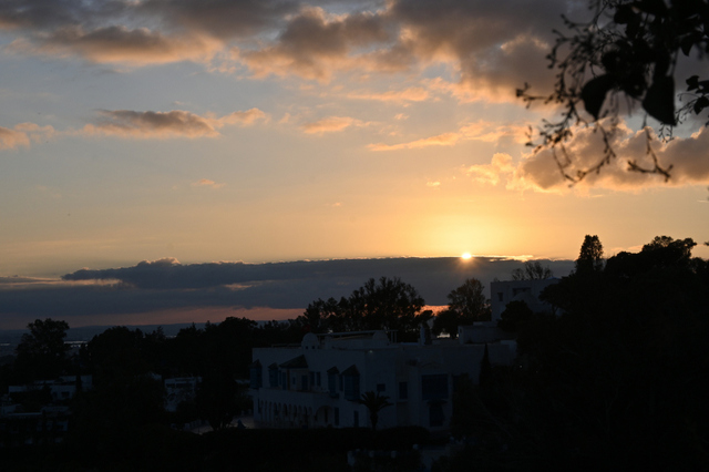 DSC_1783_001.JPG
