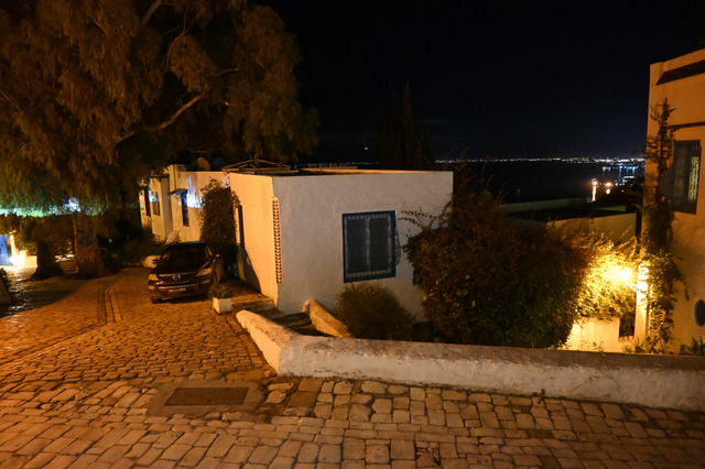 DSC_1847_001.JPG
