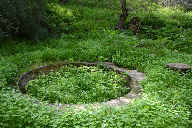 DSC_2030_001.JPG