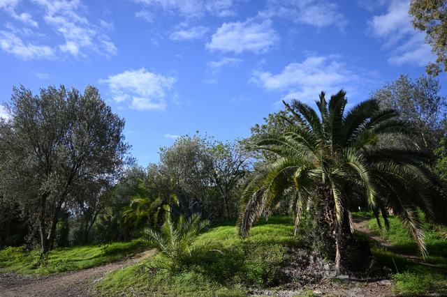 DSC_2037_001.JPG