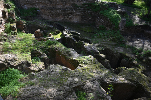 DSC_2040_001.JPG