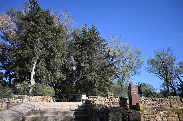 DSC_2042_001.JPG