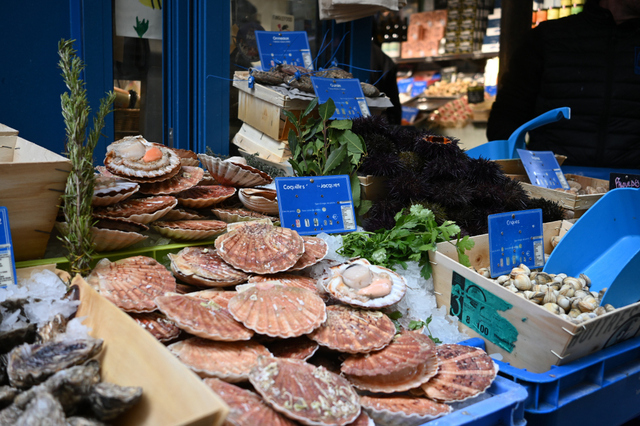 DSC_3384_001.JPG