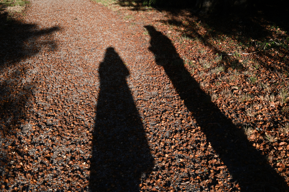 DSC_3777_001.JPG