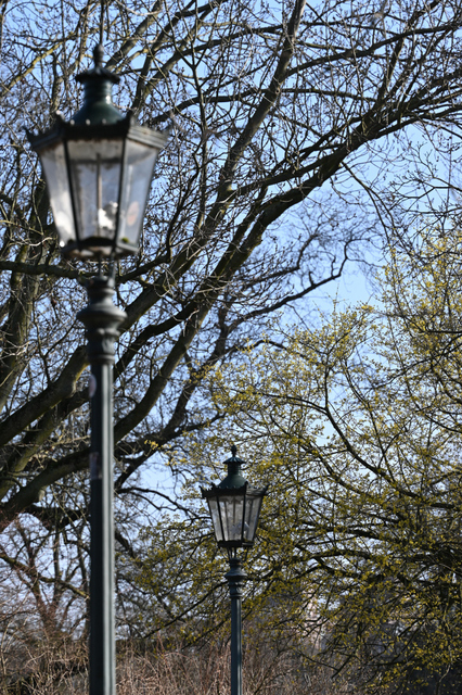 DSC_3940_001.JPG