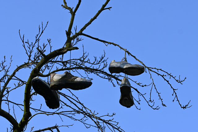 DSC_3970_001.JPG