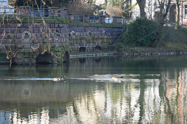 DSC_3999_001.JPG