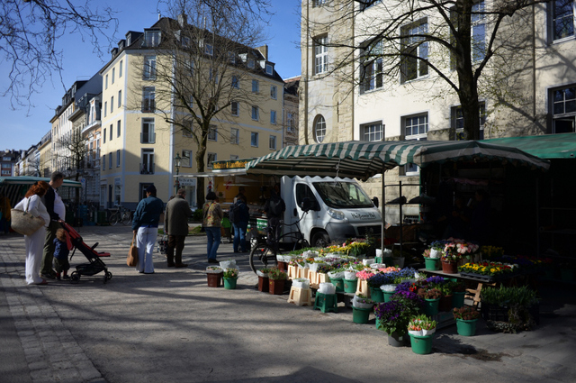 DSC_6250_001.JPG