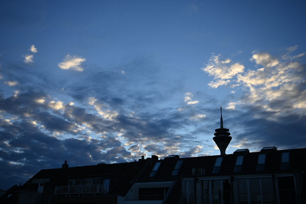 DSC_9352_001.JPG